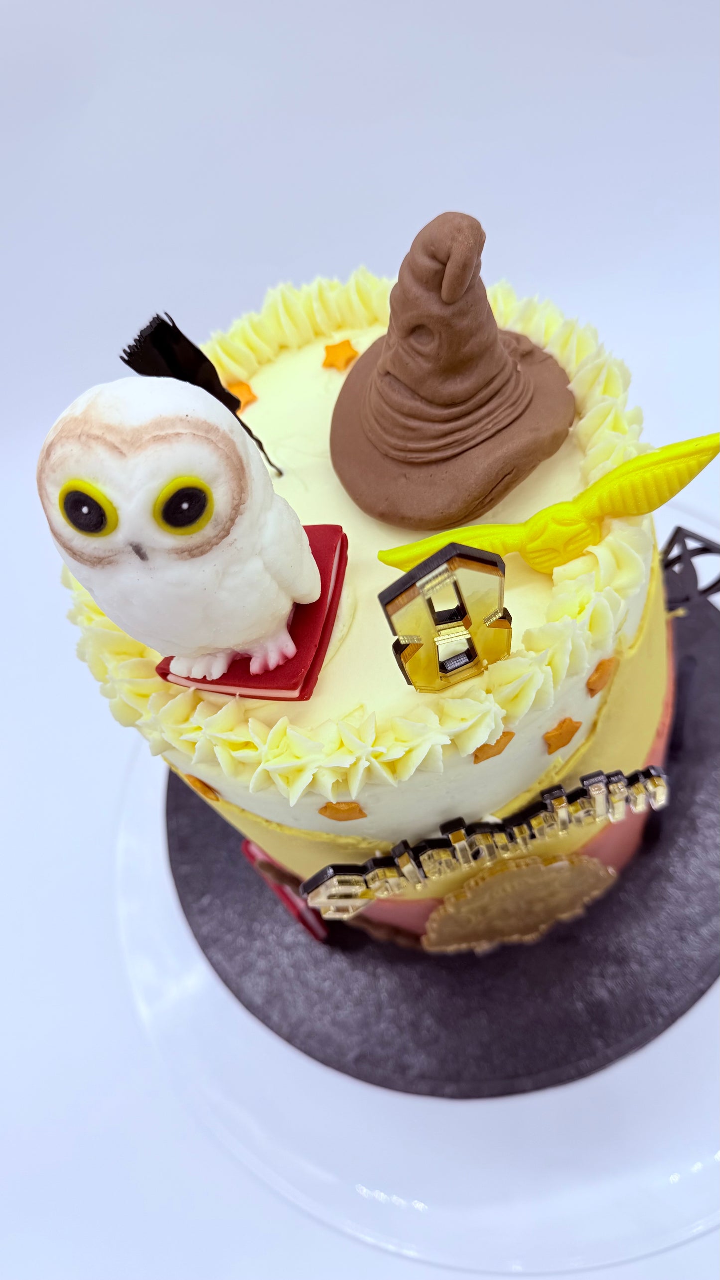 Harry Potter Cake