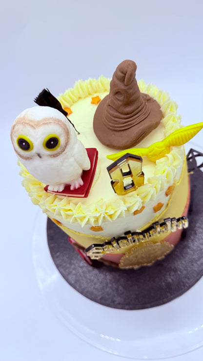 Harry Potter Cake